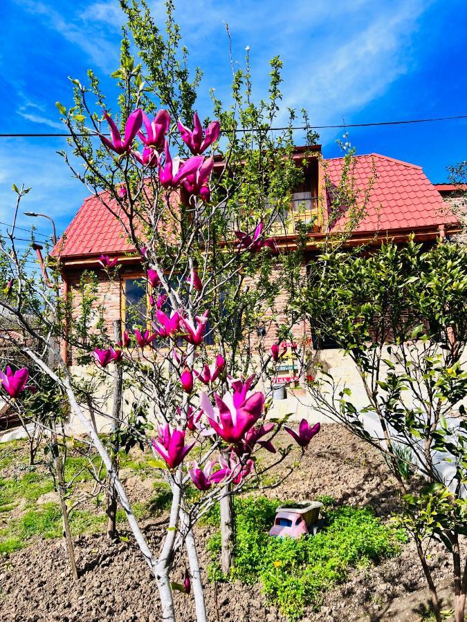 Villa Sunshine House Kutaisi Exterior foto
