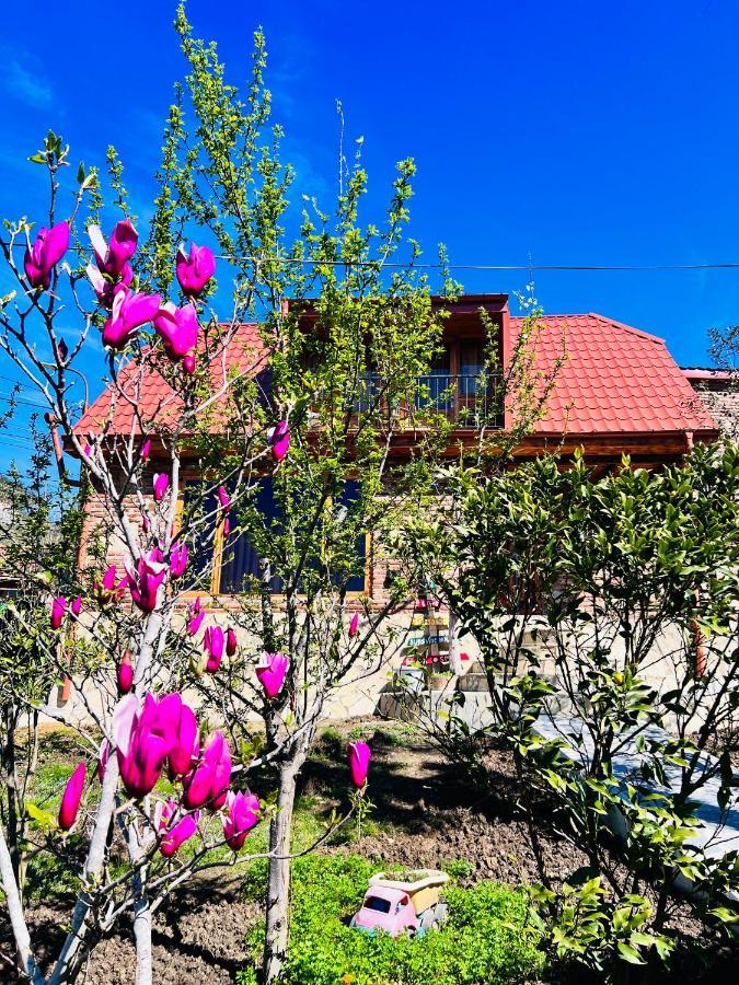 Villa Sunshine House Kutaisi Exterior foto