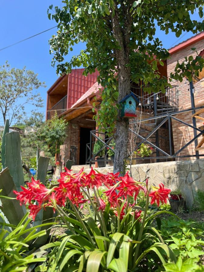 Villa Sunshine House Kutaisi Exterior foto