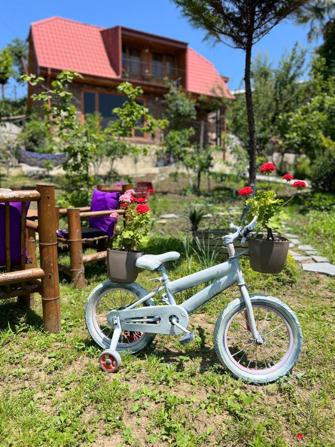 Villa Sunshine House Kutaisi Exterior foto